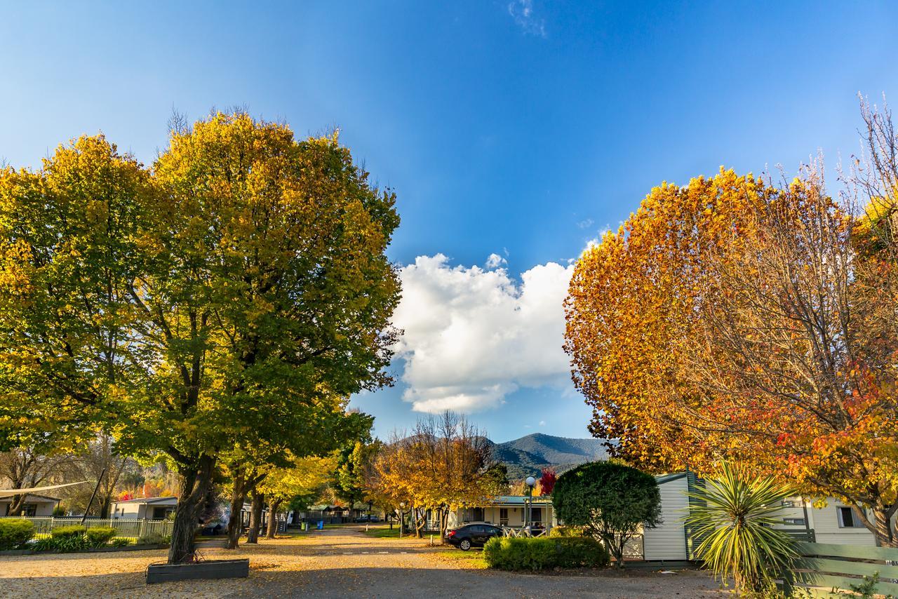 Discovery Parks - Mount Buffalo Hotel Porepunkah Luaran gambar